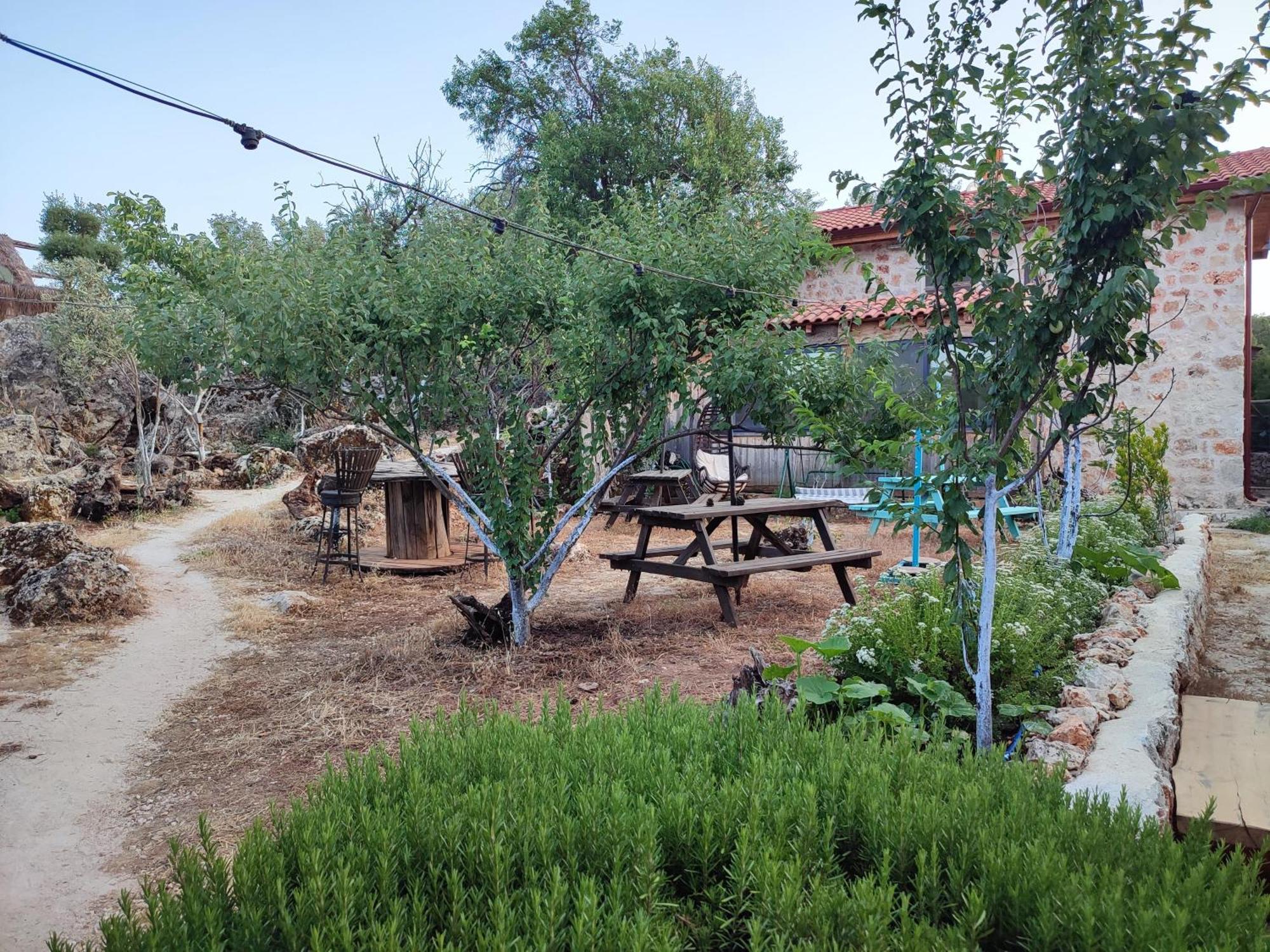 3 Oda Kaş Buitenkant foto